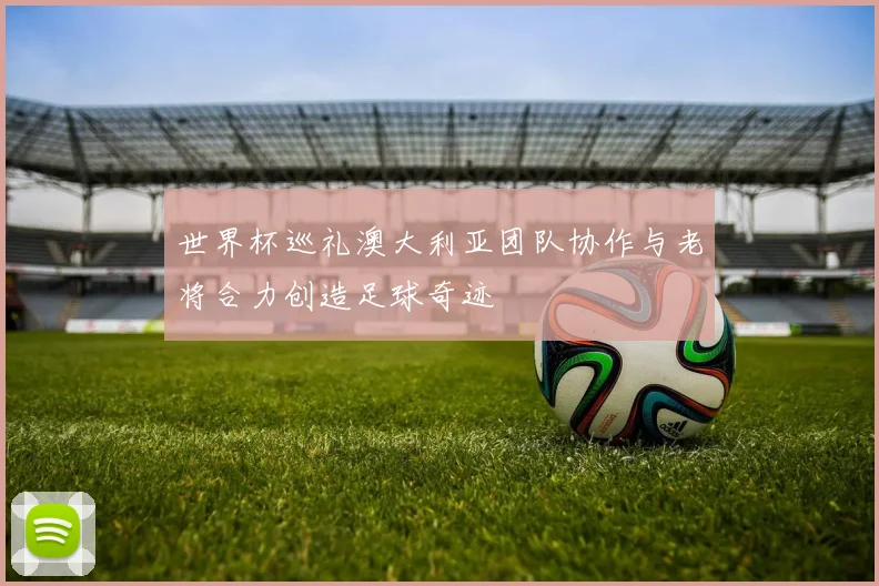 世界杯巡礼澳大利亚团队协作与老将合力创造足球奇迹